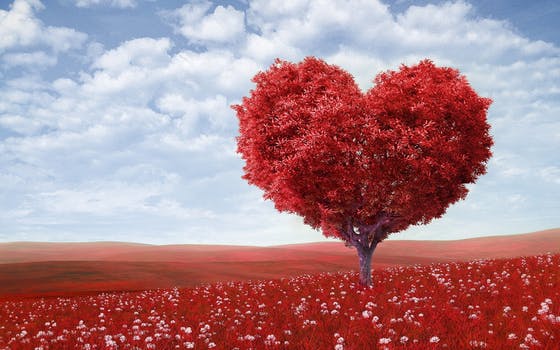 mediatacion amor